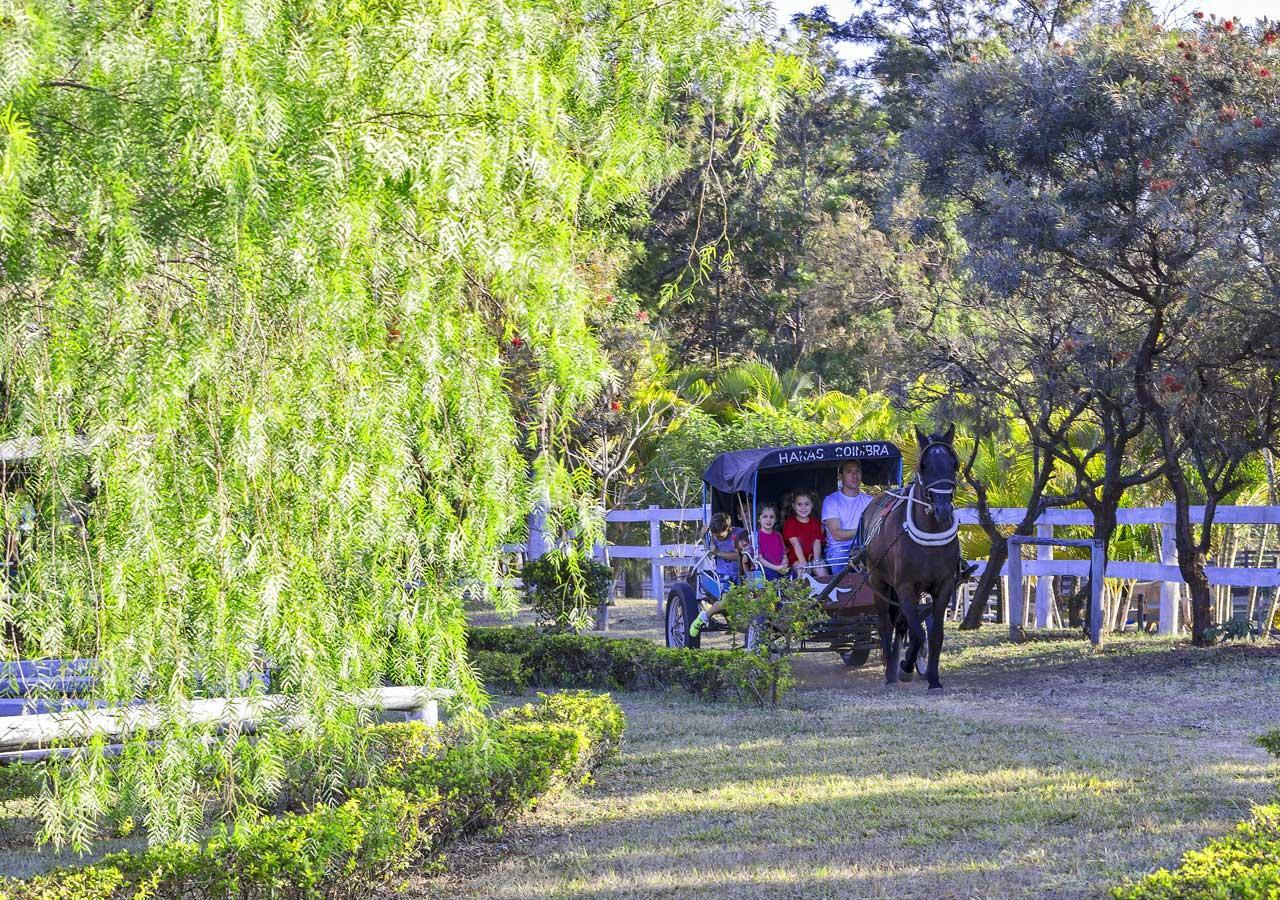 Brotas Eco Hotel Fazenda Esterno foto